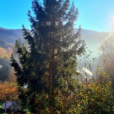 Maxi-appartement Zum Gechillten Hirsch Og Appartement *