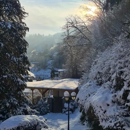 Waldhaus Zum Gechillten Hirsch In Der Natur, Bei Der Moseltherme Traben-Trarbach