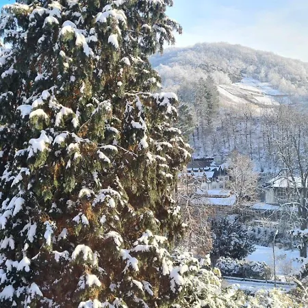 Waldhaus Zum Gechillten Hirsch In Der Natur, Bei Der Moseltherme *