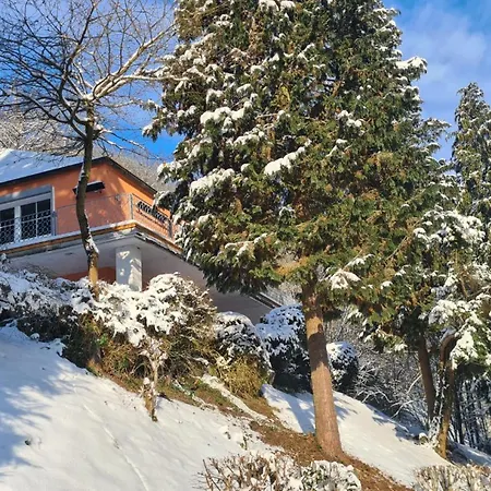 Maxi-appartement Zum Gechillten Hirsch Og Appartement Verbandsgemeinde Traben-Trarbach
