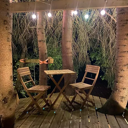 Waldhaus Zum Gechillten Hirsch In Der Natur, Bei Der Moseltherme Lägenhet Traben-Trarbach