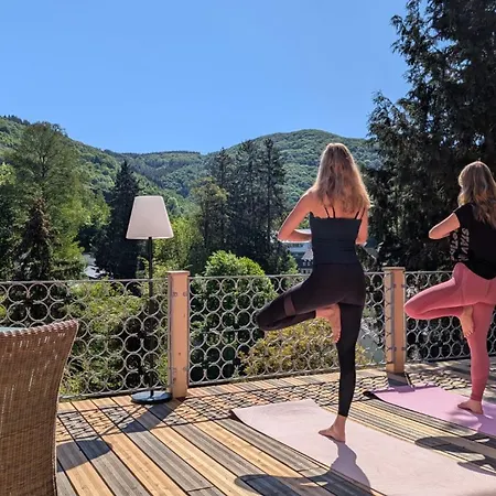 Maxi-appartement Zum Gechillten Hirsch Og Apartment