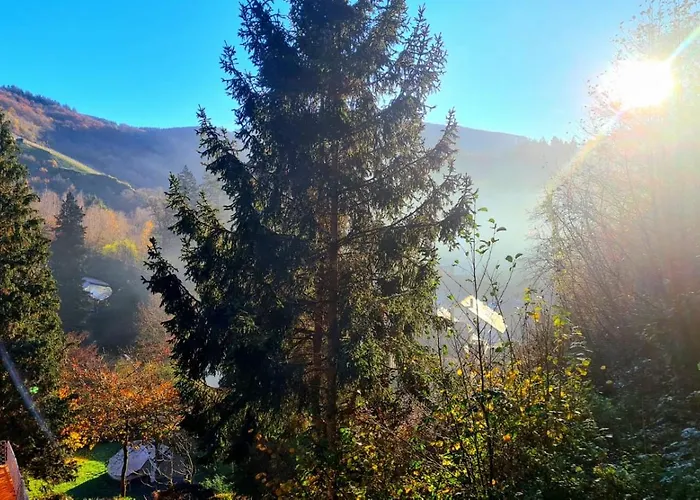 Waldhaus Zum Gechillten Hirsch In Der Natur, Bei Der Moseltherme Apartamento *