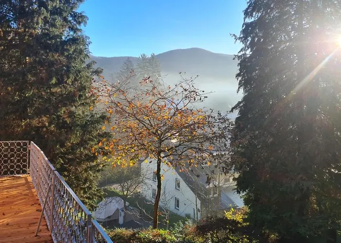 Waldhaus Zum Gechillten Hirsch In Der Natur, Bei Der Moseltherme *