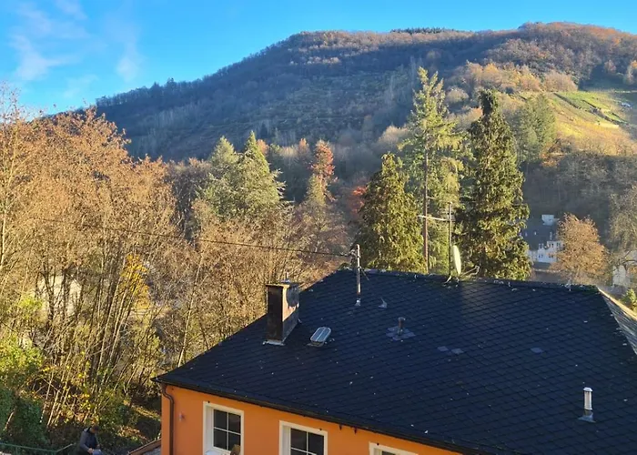 Apartamento Waldhaus Zum Gechillten Hirsch In Der Natur, Bei Der Moseltherme Traben-Trarbach