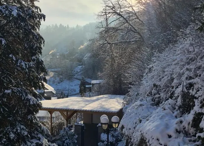 Waldhaus Zum Gechillten Hirsch In Der Natur, Bei Der Moseltherme Traben-Trarbach