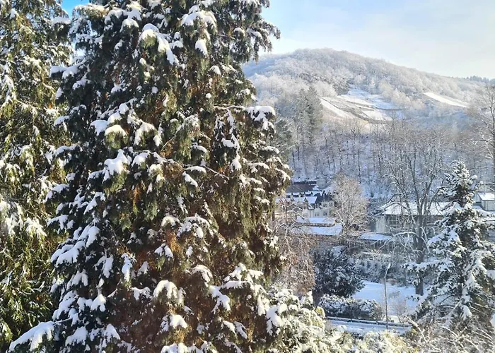 Waldhaus Zum Gechillten Hirsch In Der Natur, Bei Der Moseltherme *