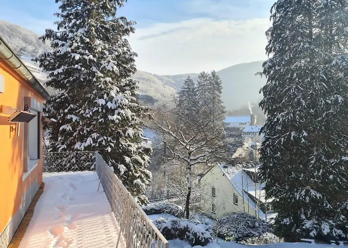 Appartement Waldhaus Zum Gechillten Hirsch In Der Natur, Bei Der Moseltherme