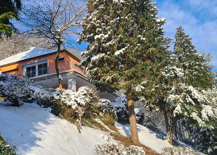 Waldhaus Zum Gechillten Hirsch In Der Natur, Bei Der Moseltherme Apartamento Traben-Trarbach