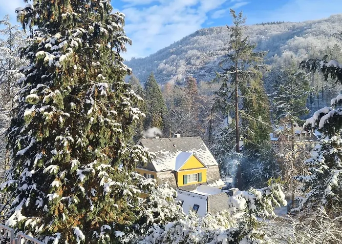 Waldhaus Zum Gechillten Hirsch In Der Natur, Bei Der Moseltherme Appartement *